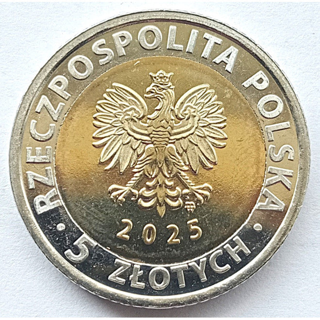 5 zł 2025 Odkryj Polskę - Tykocin