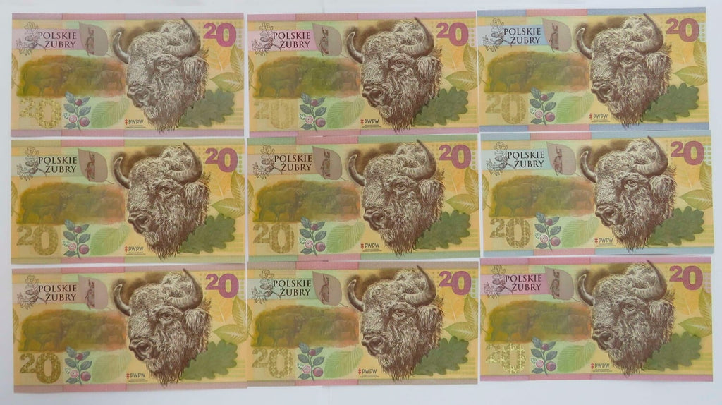 PWPW Żubry 9 szt. - Potęga Podłoża Angielski